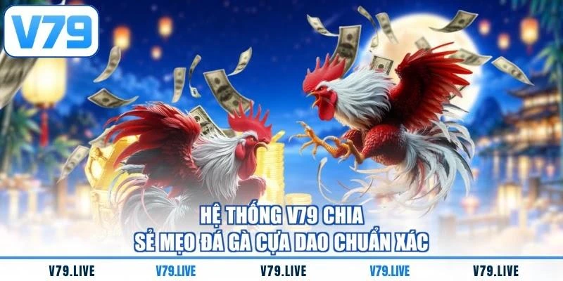 Hệ thống V79 chia sẻ mẹo đá gà cựa dao chuẩn xác